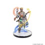 Pathfinder Battles Pack de 8 Miniaturas Iconic Heroes XI Boxed Set