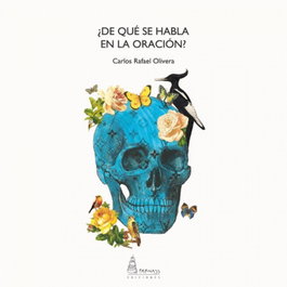 ¿DE QUE SE HABLA EN LA ORACION?, PARNASS