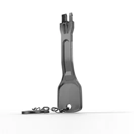 Lindy 40630 Bloqueador de Puerto RJ-45, Llave para Bloquear Puertos de Red, Color Negro, Material ABS, 1 Unidad