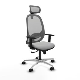 PIQUERAS Y CRESPO Silla de oficina Cilanco con mecanismo Sincro, Gris claro y Gris