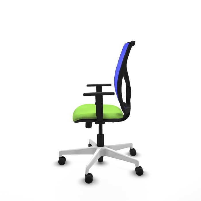 PIQUERAS Y CRESPO Silla de oficina Motilla con mecanismo Sincro, color Azul y Pistacho PIQUERAS Y CRESPO Silla de oficina Motilla con mecanismo Sincro, color Azul y Pistacho