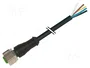 MURRELEKTRONIK Cable para sensores M12 hembra recto 12 pines 3m