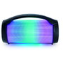 Bigben Interactive PARTYBTPRO Altavoz Bluetooth con Micro Inalámbrico