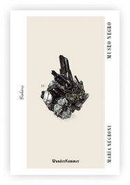 WUNDERKAMMER Museo negro, María Negroni