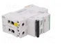SCHNEIDER ELECTRIC Interruptor magnetotérmico iC60N 2 polos 10A Caract C