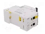 SCHNEIDER ELECTRIC Interruptor magnetotérmico iC60N 2 polos 10A Caract C
