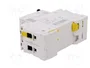 SCHNEIDER ELECTRIC Interruptor magnetotérmico iC60N 2 polos 10A Caract C