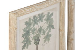 DKD Home Decor Cuadro Tropical Verde Beige Abeto Cristal 40 x 3.5 x 50 cm (2 Unidades)
