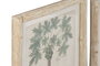 DKD Home Decor Cuadros Decorativos Abeto y Palmera Fruta (Surtido de 2) de 40x50 cm