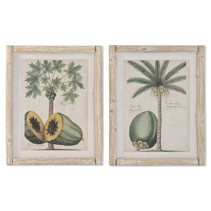 DKD Home Decor Cuadros Decorativos Abeto y Palmera Fruta (Surtido de 2) de 40x50 cm