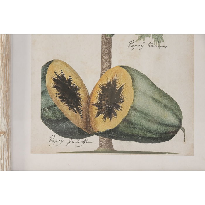 DKD Home Decor Cuadros Decorativos Abeto y Palmera Fruta (Surtido de 2) de 40x50 cm
