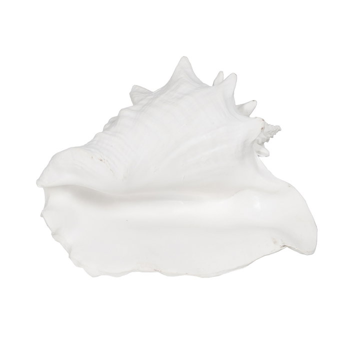 Figura Caracola Blanco Resina Decoración 21 X 19 X 13 cm (Set de 2)
