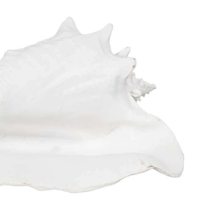 Figura Caracola Blanco Resina Decoración 21 X 19 X 13 cm (Set de 2)