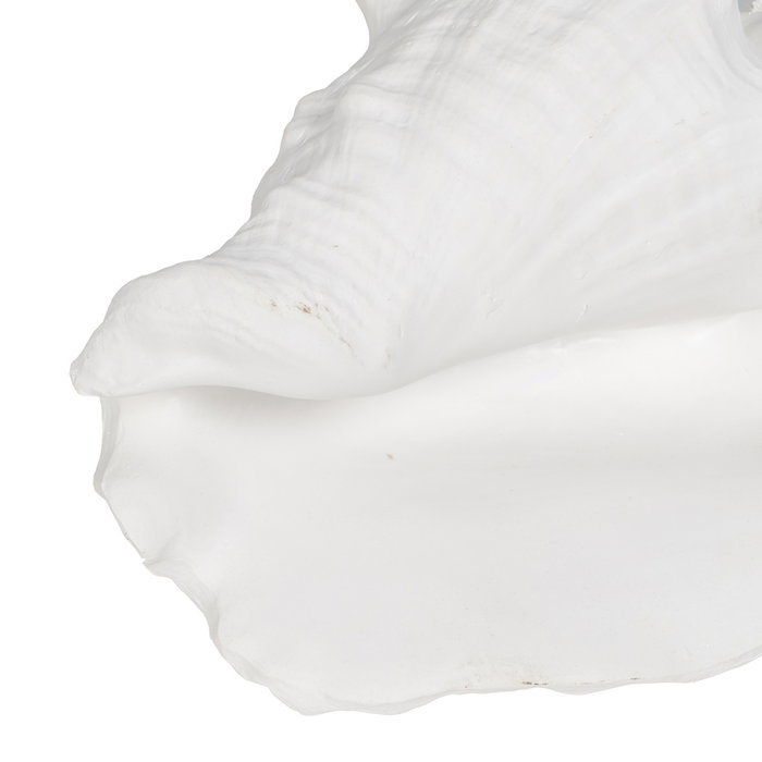 Figura Caracola Blanco Resina Decoración 21 X 19 X 13 cm (Set de 2)