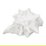 Figura Caracola Blanco Resina Decoración 21 X 19 X 13 cm (Set de 2)