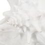 Figura Caracola Blanco Resina Decoración 21 X 19 X 13 cm