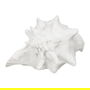Figura Caracola Blanco Resina Decoración 21 X 19 X 13 cm