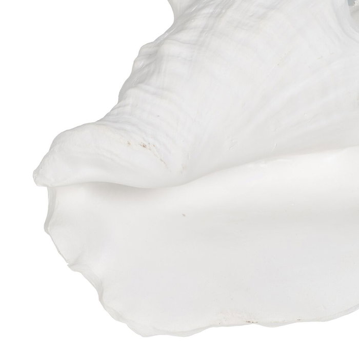 Figura Caracola Blanco Resina Decoración 21 X 19 X 13 cm (Set de 2)