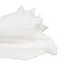 Figura Caracola Blanco Resina Decoración 21 X 19 X 13 cm (Set de 2)