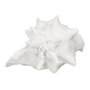 Figura Caracola Blanco Resina Decoración 21 X 19 X 13 cm (Set de 2)