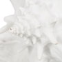 Figura Caracola Blanco Resina Decoración 21 X 19 X 13 cm (Set de 2)