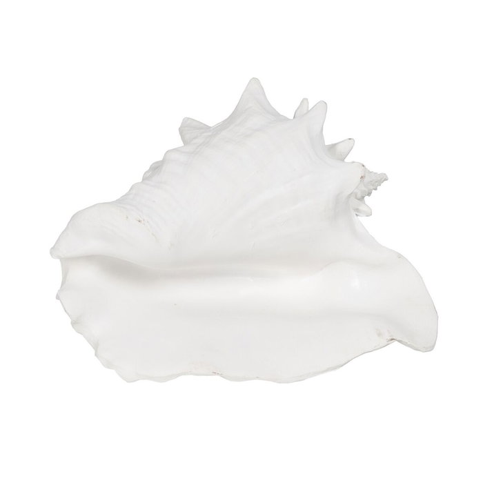 Figura Caracola Blanco Resina Decoración 21 X 19 X 13 cm (Set de 2)