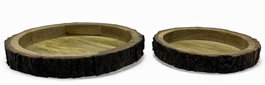 DKD Home Decor Set de 2 Centros de Mesa de Acacia Tronco Natural 36x36x4 cm