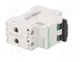 SCHNEIDER ELECTRIC Interruptor magnetotérmico C60H-DC 13A 2 polos