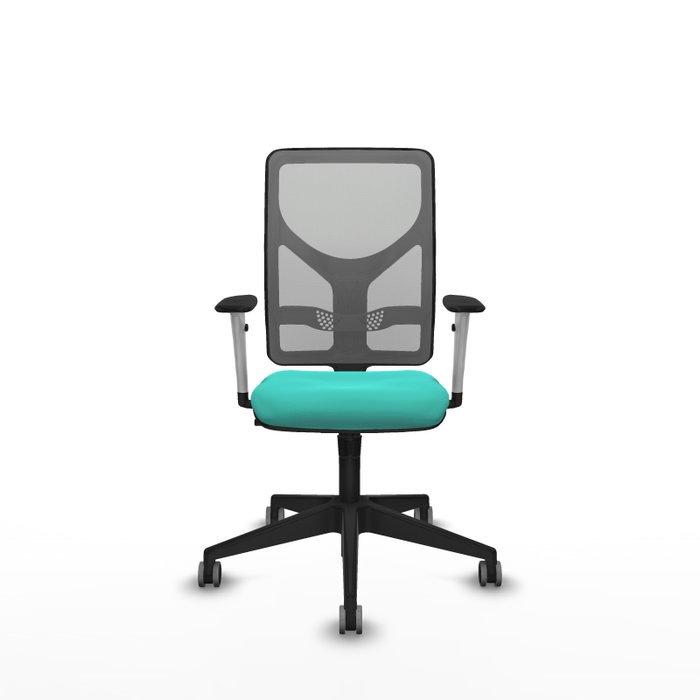 PIQUERAS Y CRESPO Silla de oficina Motilla con mecanismo Sincro, Turquesa y Gris PIQUERAS Y CRESPO Silla de oficina Motilla con mecanismo Sincro, Turquesa y Gris