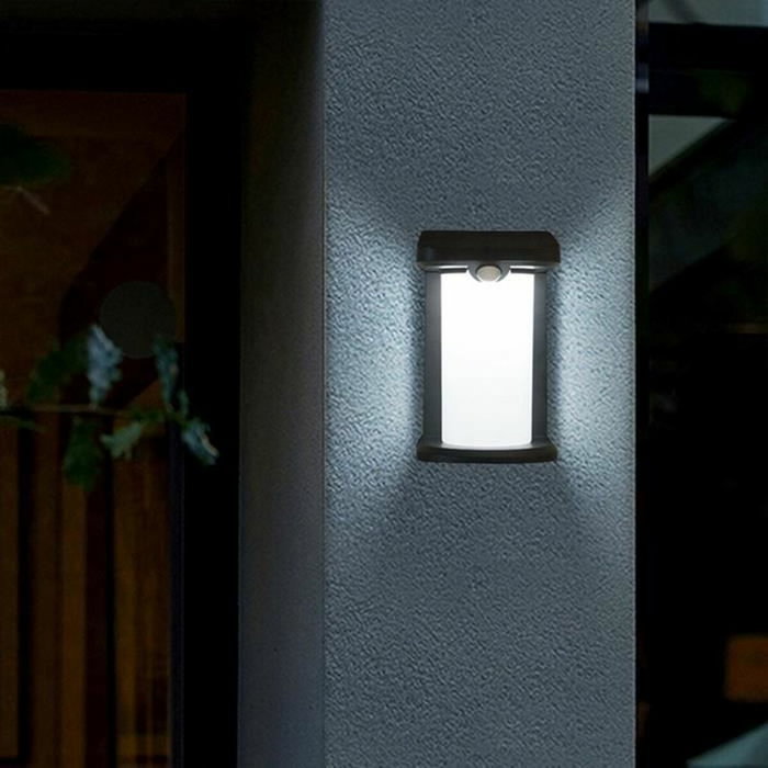 Lumisky Juego de 2 focos solares LUSTY con detector de movimiento y LED blanco Lumisky Juego de 2 focos solares LUSTY con detector de movimiento y LED blanco