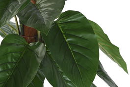 DKD Home Decor Planta Verde Marron 60 x 120 x 60 cm (2 Unidades)