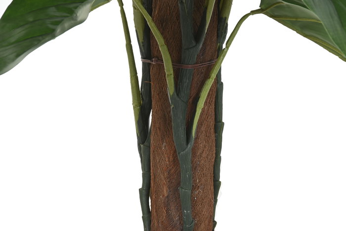 DKD Home Decor Planta Verde Marron 60 x 120 x 60 cm (2 Unidades)