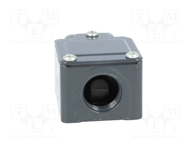 PIZZATO ELETTRICA Interruptor de fin de carrera FC 311 con espárrago Ø10mm