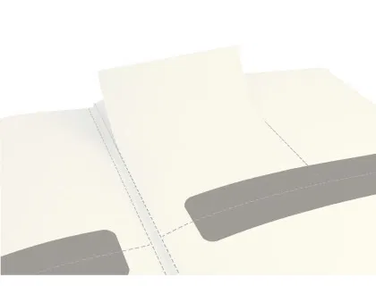 Plastificadora Leitz Negro A4