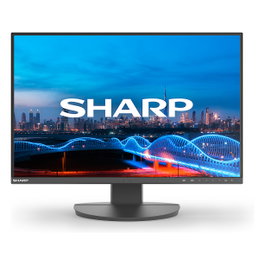 NEC MultiSync EA241W Full HD 24 pulgadas IPS Negro