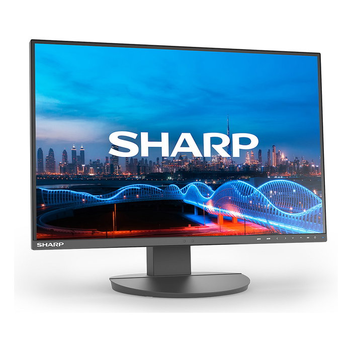 NEC MultiSync EA241W Full HD 24 pulgadas IPS Negro