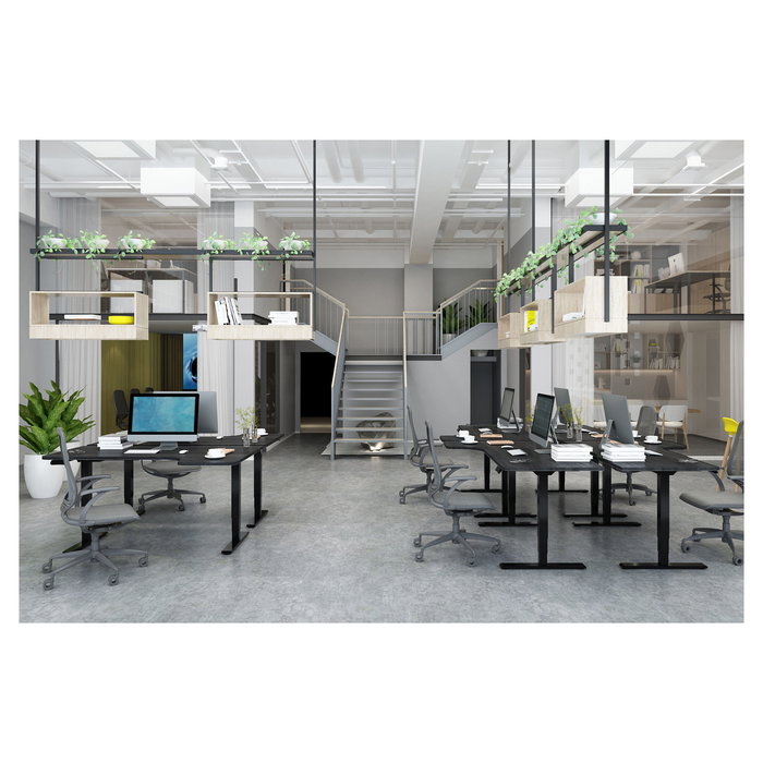 Digitus Estructura de Mesa Eléctrica Regulable en Altura, Doble Motor, 3 Niveles, Negro