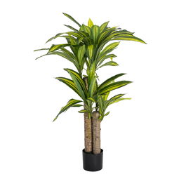 Planta Dracaena Verde Poliester 70 X 110 cm