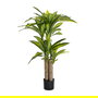 Planta Dracaena Verde Poliester 70 X 110 cm