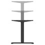 EQUIP 650815 Pie de Escritorio Elevable Eléctrico con Motor Dual, 125 kg, Acero/Aluminio, Negro, Altura 62-126 cm, Ancho 110-200 cm, Control por Botones