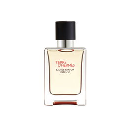 Hermès Terre D'Hermès Parfum Intense EDP Vapo 50 ml