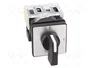 SCHNEIDER ELECTRIC Interruptor de leva 12A 0-1 Negro