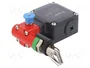 PIZZATO ELETTRICA Interruptor de seguridad de cuerda FL, unilateral, gris
