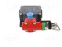 PIZZATO ELETTRICA Interruptor de seguridad de cuerda FL, unilateral, gris