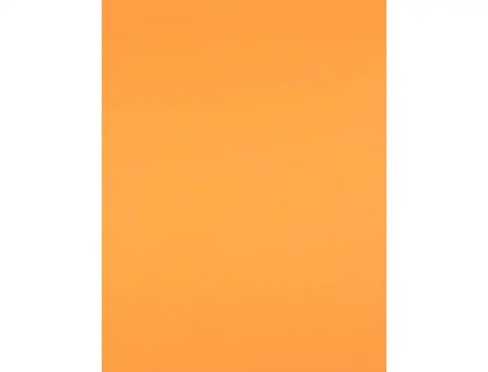 Liderpapel Cartulina Nectarina 50x65 cm 240g/m2, 25 hojas Liderpapel Cartulina Nectarina 50x65 cm 240g/m2, 25 hojas