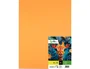 Liderpapel Cartulina Nectarina 50x65 cm 240g/m2, 25 hojas