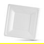 Algon Set 25 Platos Bio Cuadrados 16 cm Caña (12 Unidades)