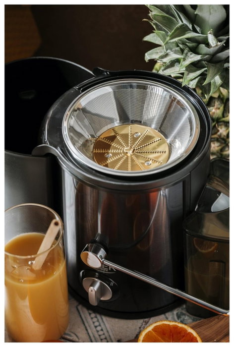 Adler AD 4132 Extractor de zumos Dark inox