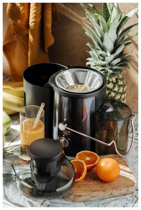 Adler AD 4132 Extractor de zumos Dark inox
