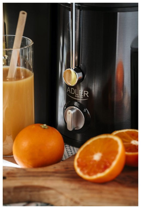 Adler AD 4132 Extractor de zumos Dark inox